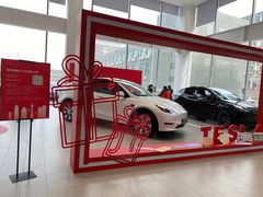 -TESLA 特斯拉(郑州正弘城体验店)