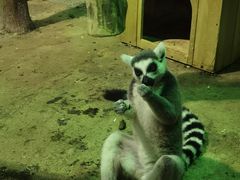-大连圣亚海洋世界