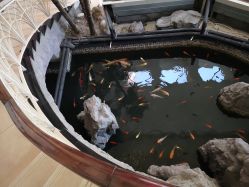-五洲妇儿医院