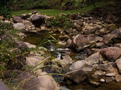 -广州白江湖森林公园