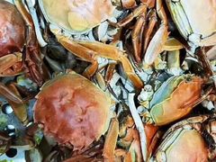 -金狮国际酒店自助餐(金狮店)