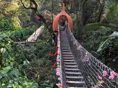 -南丹山森林王国