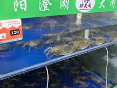 -阳澄湖大闸蟹·琼灵阁牌品牌连锁(吴中总店)
