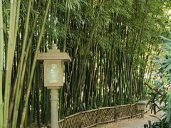 -广州兰圃