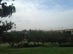 -秀丽东方