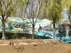 -北京野生动物园