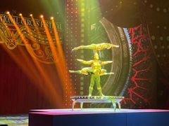 -珠海横琴长隆《卡卡虎奇遇记》