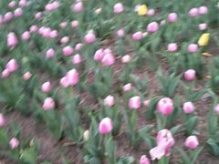 景点-长春公园(普阳街道)