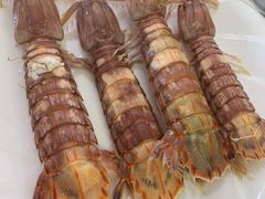 清蒸虾虎-桔子海鲜烧烤大排档(台东店)
