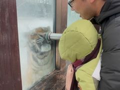 -横道河子东北虎林园