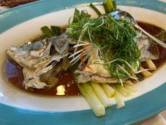 清蒸鳜鱼-新南华大酒店(长寿店)