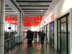 -上海旅游集散中心(万体站)