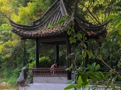 -深圳国际园林花卉博览园