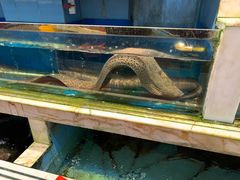 -榕树下海鲜馆(坪山路店)