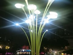 -西北湖绿化广场