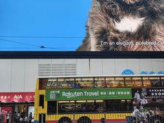 -百老汇(海港城海洋中心店)