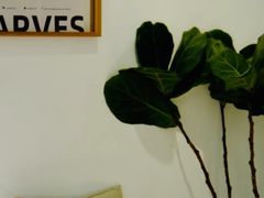 -收获咖啡HARVEST RESERVE(苍山店)