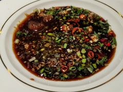 -汤城·料青山