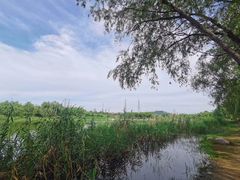-门城湖公园