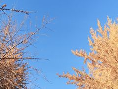 -辽宁大学(崇山校区)