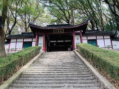 -上海佘山国家森林公园天马山园