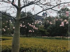 -清远熹乐谷温泉度假酒店