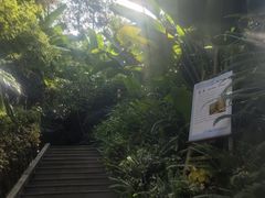 -腾冲洞山温泉村
