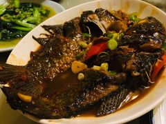 红烧鲫鱼-吉事利茶餐厅