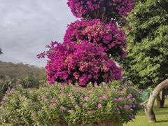 -三亚南山文化旅游区