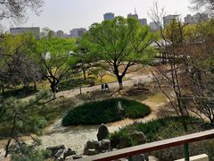 -莲花池公园