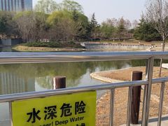 -大望京公园