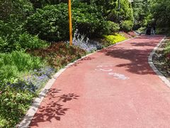 -燕儿岛山公园