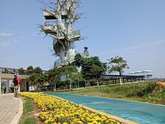 -芒洲湿地公园