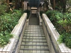 -香港大学