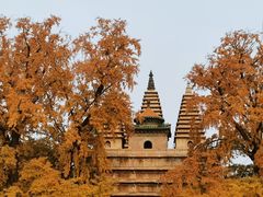 -北京石刻艺术博物馆(五塔寺)