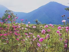 -石棉县孟获城