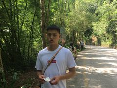 -西双版纳原始森林公园