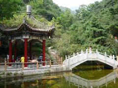-王顺山国家森林公园