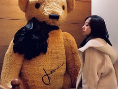 -济州岛泰迪熊博物馆