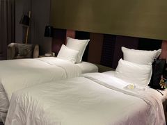 -南京禄口机场雅高铂尔曼大酒店