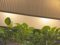 -麦当劳(中山公园龙之梦店)
