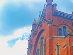 -上海佘山国家森林公园西佘山园