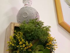 -soulfa柠檬茶(鹭江店)