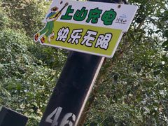 -广州市帽峰山景区