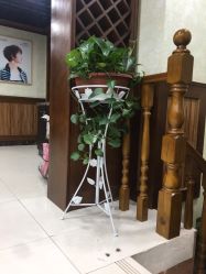 -YESIDO椰岛造型烫发染发