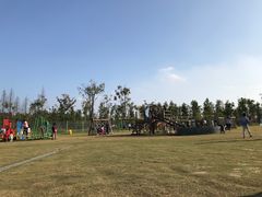 -上海长兴岛郊野公园