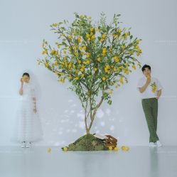 -金夫人婚纱摄影(衡阳店)