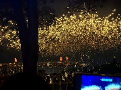 -洋湖国家湿地公园