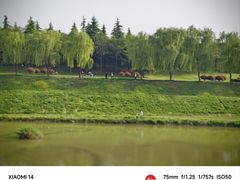 -洨河生态公园