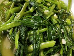 空心菜叶-壹盏灯(惠农店)